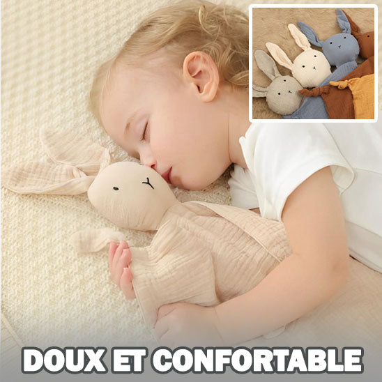 Doudou-lapin-dans-les-bras-d-un-enfant-qui-dort