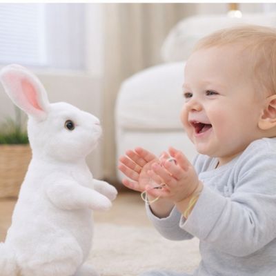 Lapins-peluche-content