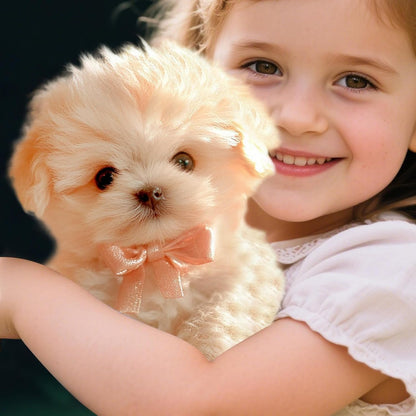 Peluche Chien | Robot IA