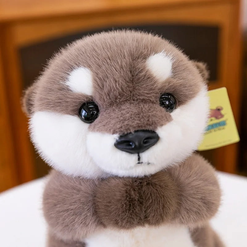 Peluche-loutre-trop-mignonne