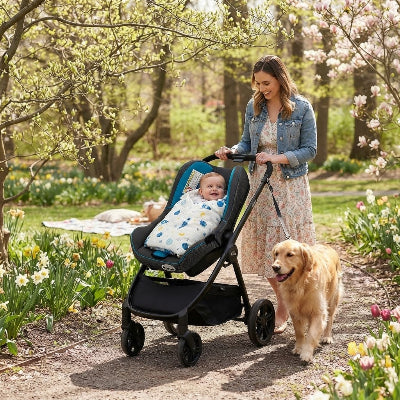 Bébé dans son nid d Ange siege auto en promenade dans le parc avec maman et le chien au printemps.