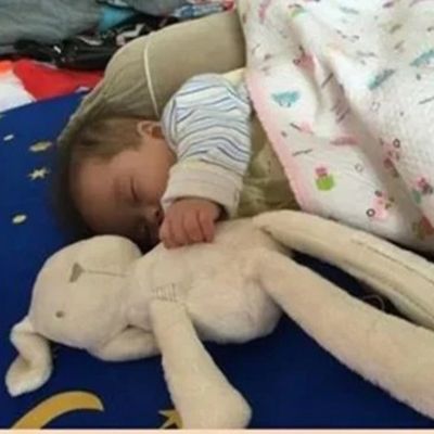 lapin-peluche-allié-nuit